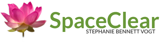 Logo with green and purple text, featuring the word 'pace'.
